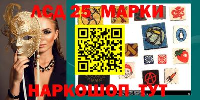 стафф Пенза