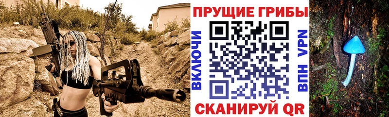 блэк спрут зеркало  сколько стоит  Шебекино  Галлюциногенные грибы GOLDEN TEACHER 