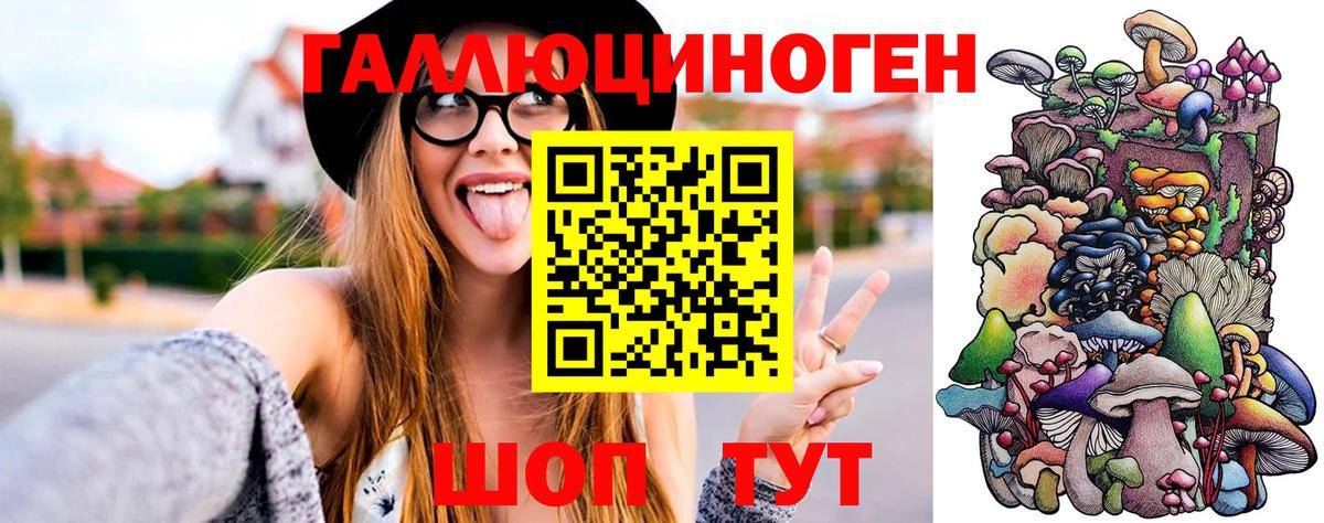 Шебекино  Галлюциногенные грибы GOLDEN TEACHER  Вход с VPN 